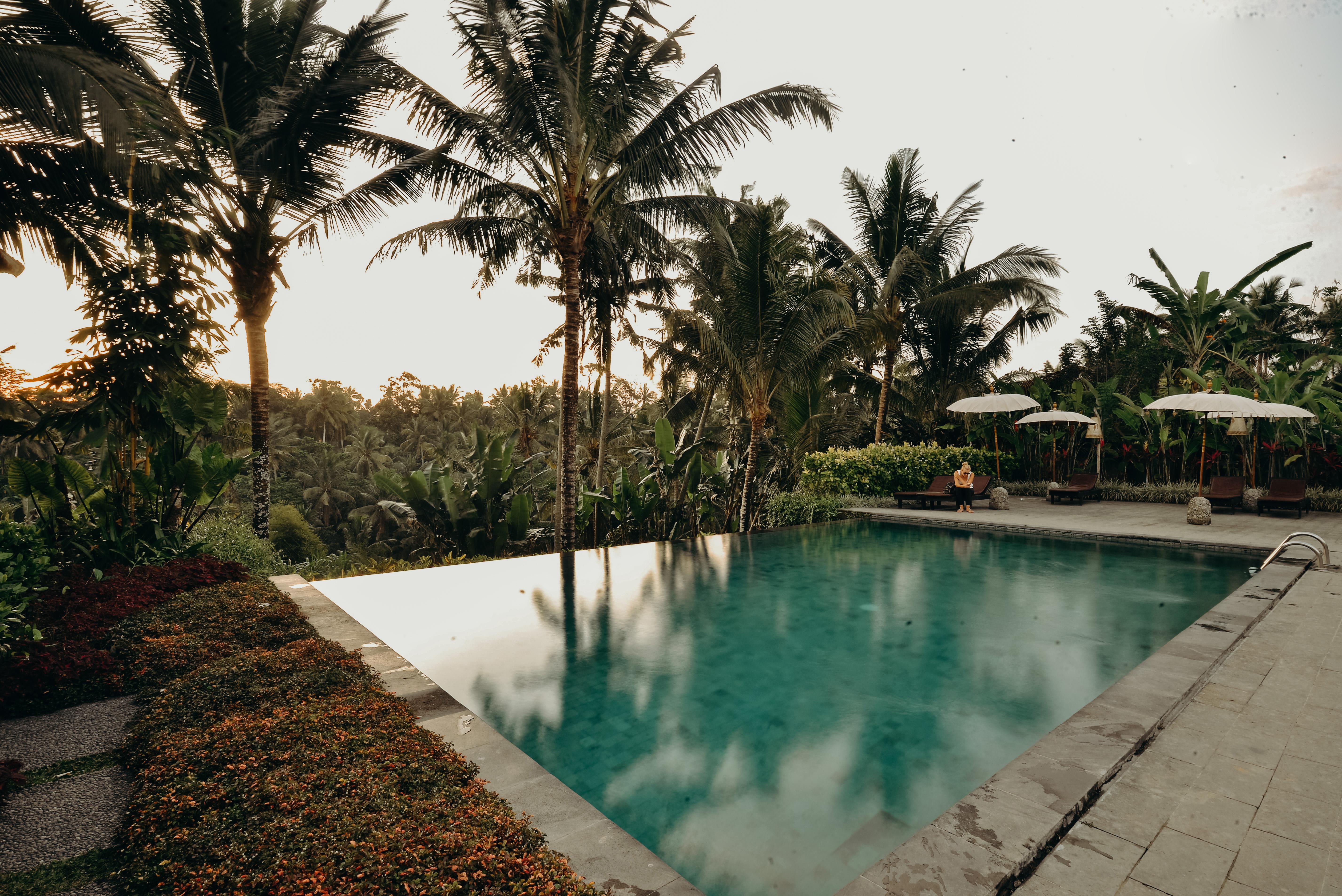 Pertiwi Bisma Ubud Ubud (Bali) Exterior photo